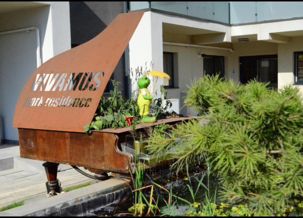 Vivamus Studio Brasov Exterior photo